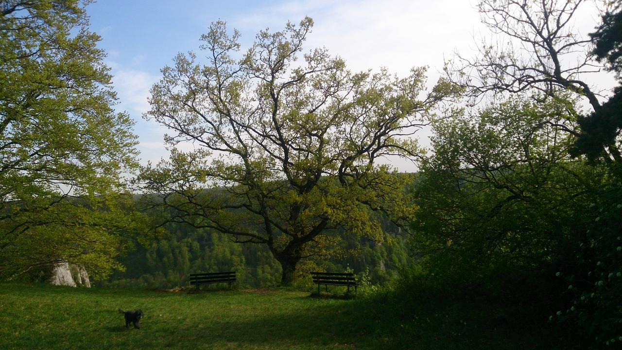 Berghaus Knopfmacher Fridingen an der Donau Εξωτερικό φωτογραφία