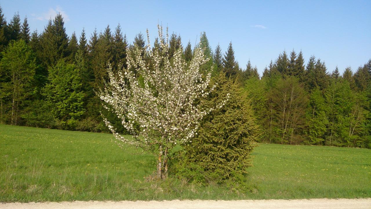 Berghaus Knopfmacher Fridingen an der Donau Εξωτερικό φωτογραφία