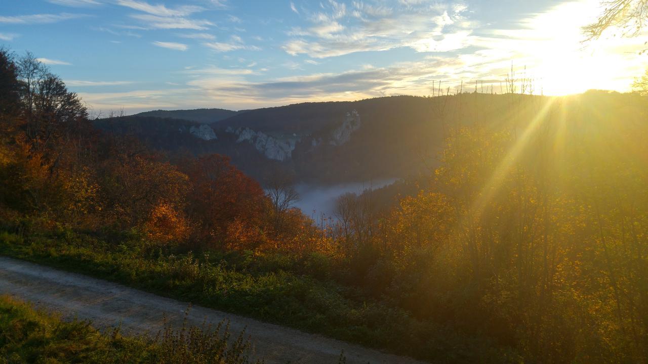 Berghaus Knopfmacher Fridingen an der Donau Εξωτερικό φωτογραφία